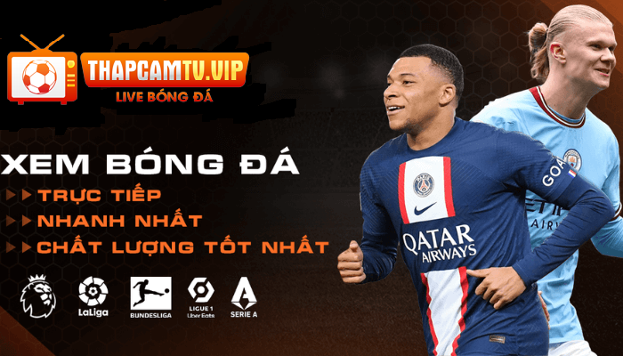 Quy định về điều khoản sử dụng tại thapcamtv 